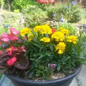 Meet your Posher, Sonia